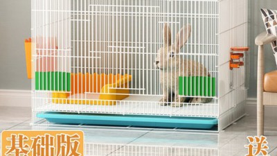 놓치면 후회! 초대형 토끼집 후기🐰✨ & 꿀팁 대방출